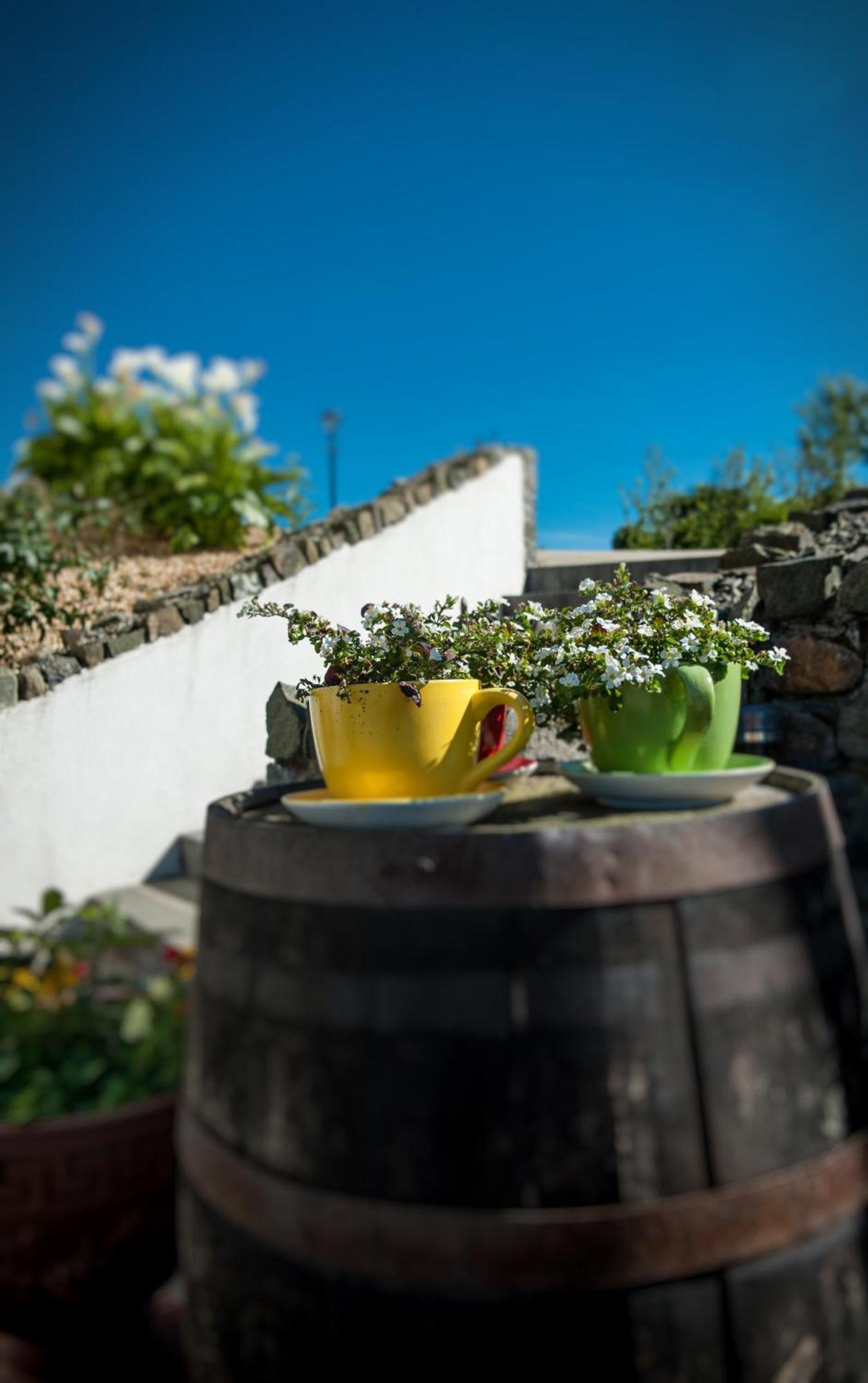 Grove House Bed & Breakfast คาร์ลิงฟอร์ด ภายนอก รูปภาพ