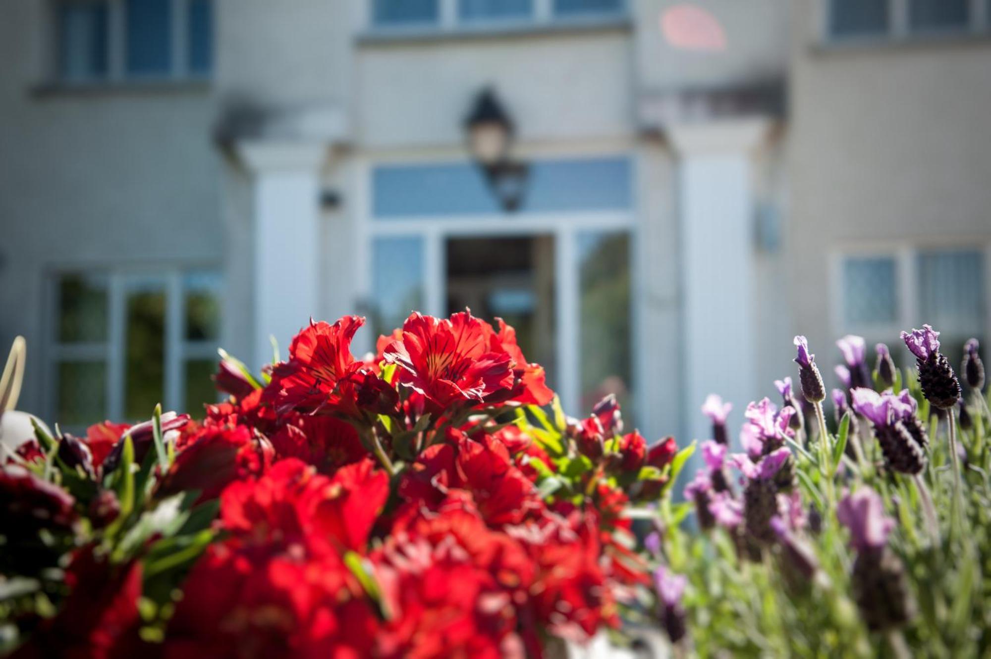 Grove House Bed & Breakfast คาร์ลิงฟอร์ด ภายนอก รูปภาพ
