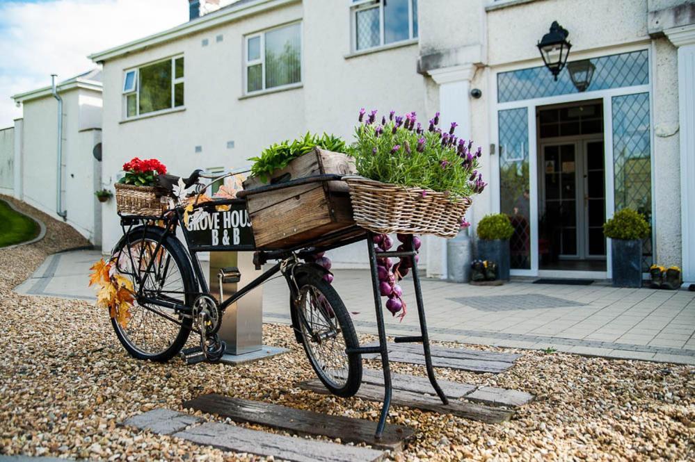 Grove House Bed & Breakfast คาร์ลิงฟอร์ด ภายนอก รูปภาพ